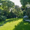Dulwich Sanctuary Garden 17