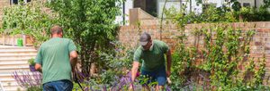Garden maintenance staff working in garden