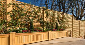 Trellis - Garden Landscaping Services