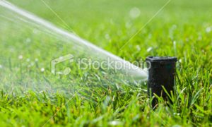 Stock-photo-17115770-water-sprinkler-head-spraying-new-grass-Large